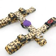 Tailpetz Leopard H Harness M Köpek Göğüs Tasması