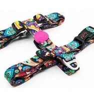 Tailpetz Paisley H Harness XS Köpek Göğüs Tasması