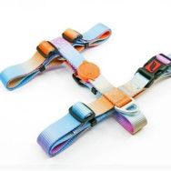 Tailpetz Pass Desenli 19-33x22-37 cm Köpek Göğüs Tasması