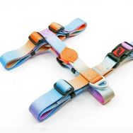 Tailpetz Pass Desenli 20-34x23-38 cm Köpek Göğüs Tasması