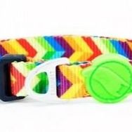 Tailpetz Rainbow Collar L Köpek Boyun Tasması
