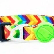 Tailpetz Rainbow Collar S Köpek Boyun Tasması