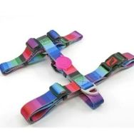 Tailpetz Wave Harness H Tipi L Köpek Tasması
