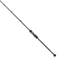 Tailwalk Slow Bump SSD 633/FSL S2P Slow 190 cm 300 gr Jigging Kamış