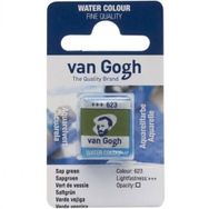 Talens Van Gogh 1/2 Tablet 623 Sap Green Sulu Boya