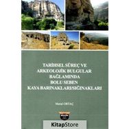 Tarihsel Süreç ve Arkeolojik Bulgular Bağlamında Bolu - Seben Kaya