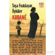 Taşa Fısıldayan Öyküler Kobane - Adam Hanieh