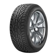 Taurus 205/50 R17 93V XL Winter Kış Lastiği
