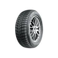 Taurus 225/45 R17 94V XL Winter Kış Lastiği