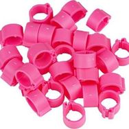 Tavpet 7,5 mm 100'lük Pembe Civciv Bileziği
