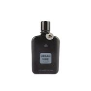 TDRS Urban Vibe EDP 100 ml Erkek Parfüm