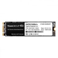 Team 2280 256GB MS30 500/400MbS Sata M.2 SSD