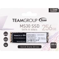 Team TM8PS7256G0C101 256 GB SSD