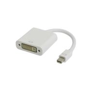 Techmaster Mini Displayport To DVI Çevirici Adaptör Kablosu