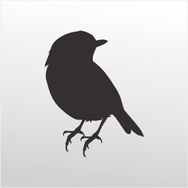 Technopa 80 cm Uzunluk Serçe Folyo Sticker