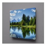 Technopa Ağaç Yansıması 40x40 cm Kare Kanvas Tablo