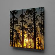 Technopa Ağaçlar 40x40 cm Kanvas Tablo