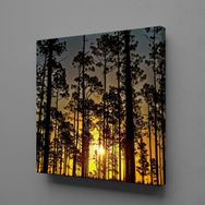 Technopa Ağaçlar 60x60 cm Kanvas Tablo