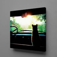 Technopa Arabada Kedi 110x110 cm Kare Kanvas Tablo