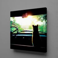 Technopa Arabada Kedi 60x60 cm Kare Kanvas Tablo