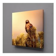 Technopa Baykuş 80x80 cm Kanvas Tablo