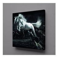 Technopa Beyaz At 70x70 cm Kanvas Tablo
