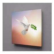 Technopa Beyaz Güvercin 40x40 cm Kanvas Tablo