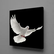 Technopa Beyaz Kuş 80x80 cm Kanvas Tablo