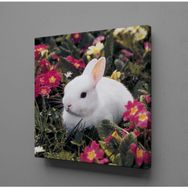 Technopa Beyaz Tavşan 30x30 cm Kanvas Tablo