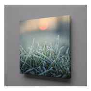 Technopa Buğday Başakları 130x130 cm Kanvas Tablo