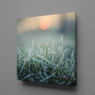 Technopa Buğday Başakları 30x30 cm Kanvas Tablo