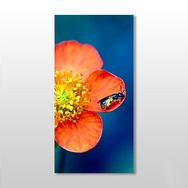 Technopa Çiçekteki Böcek 30x50 cm Kanvas Tablo