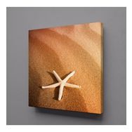 Technopa Deniz Yıldızı 80x80 cm Kanvas Tablo
