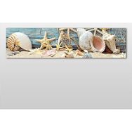 Technopa Deniz Yıldızı ve Deniz Kabuğu 180x60 cm Kanvas Tablo