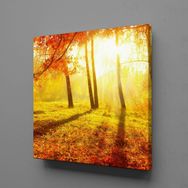Technopa Doğa Manzarası 60x60 cm Kanvas Tablo