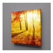 Technopa Doğa Manzarası 70x70 cm Kanvas Tablo