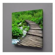 Technopa Doğadaki Köprü 50x50 cm Kanvas Tablo