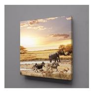 Technopa Fil ve Zebralar 40x40 cm Kanvas Tablo