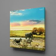 Technopa Fil ve Zebralar 90x90 cm Kanvas Tablo