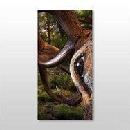 Technopa Geyik 130x195 cm Kanvas Tablo