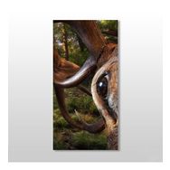 Technopa Geyik 40x60 cm Kanvas Tablo