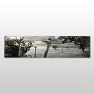 Technopa Göldeki Ördekler 120x40 cm Kanvas Tablo