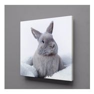 Technopa Gri Tavşan 25x25 cm Kanvas Tablo