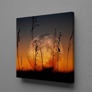Technopa Gün Batımı Manzarası 25x25 cm Kanvas Tablo
