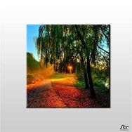 Technopa Güneşin Dokunuşu 70x70 cm Kanvas Tablo