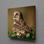 Technopa Kahverengi Baykuş 110x110 cm Kanvas Tablo