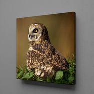 Technopa Kahverengi Baykuş 50x50 cm Kanvas Tablo