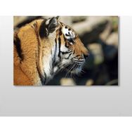 Technopa Kaplan 105x70 cm Kanvas Tablo