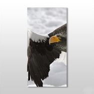Technopa Kartal 110x165 cm Kanvas Tablo