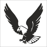 Technopa Kartal 80 cm Folyo Duvar Stickerı
